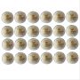 AJ Academy White Cricket Ball Set of 24