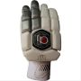 AJ Super Test Men Cricket Batting Gloves