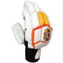 AJ Professional Cricket Batting Gloves