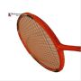 Ashaway Max Power 2100 Badminton Racket