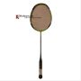 Ashaway Palladium XT 600 Badminton Racket