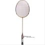 Ashaway Power Force Badminton Racket