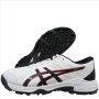 Asics Gel Peake 2 Cricket Shoes white and Black