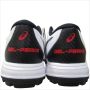 Asics Gel Peake 2 Cricket Shoes white and Black