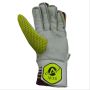 Aver T 20 Cricket Batting Gloves