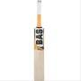 Bas Vampire Legend Gold English Willow Cricket Bat Standard Size