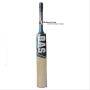 Bas Vampire Boundary English Willow Cricket Bat Standard Size