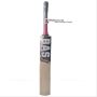 Bas Vampire Club English Willow Cricket Bat Standard Size