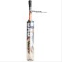 Bas Vampire Boss Kashmir Willow Cricket Bat Standard Size