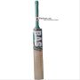 Bas Vampire Swan Stocky Kashmir Willow Cricket Bat Standard Size
