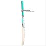 Bas Vampire Swan Stocky Kashmir Willow Cricket Bat Standard Size