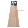 Bas Vampire Swan Stocky Kashmir Willow Cricket Bat Standard Size