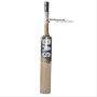 Bas Vampire Gold Kashmir Willow Cricket Bat