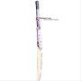 Bas Vampire Brig Attack Kashmir Willow Cricket Bat