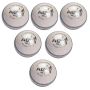 BDM Agni Leather Cricket Ball 6 Ball Set White