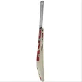 BDM Grand Master English Willow Cricket Bat (Standard Size Short Handle)
