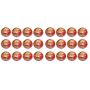 BDM King Fisher League Leather Cricket Ball 24 Ball Set