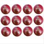 BDM Royal Crown Cricket Ball 12 Ball Set Red