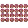 BDM Players Auto Cricket Ball 24 Ball Set Red