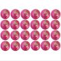 BDM King Fisher Club Cricket Ball 24 Ball Set Pink
