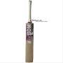 BDM DB 70 Kashmir Willow Cricket Bat