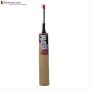 BDM Club Blaster Kashmir Willow Cricket Bat With Free Anti Stuff Sheet