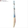 BDM Pro Kashmir Willow Cricket Bat With Free Anti Stuff Sheet