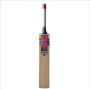 BDM Dasher 20 20 Kashmir Willow Cricket Bat With Free Anti Stuff Sheet