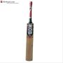BDM Hammer Kashmir Willow Cricket Bat With Free Anti Stuff Sheet