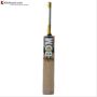 BDM Galaxy Plus Kashmir Willow Cricket Bat