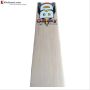 BDM Galaxy Plus Kashmir Willow Cricket Bat