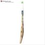 BDM World Cup Kashmir Willow Cricket Bat