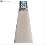 BDM World Cup Kashmir Willow Cricket Bat