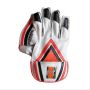 BDM Dynamic Super Cricket Wicket Keeping Gloves
