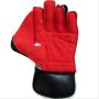 BDM Matador Cricket Wicket Keeping Gloves