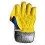 BDM Armstrong Cricket Wicket Keeping Gloves