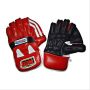 BDM Commander Cricket Wicket Keeping Gloves