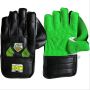 BDM Aero Dynamic Cricket Wicket Keeping Gloves Black