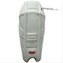 BDM Dynamic Super Wicket Keeping Pads
