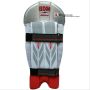 BDM Admiral Wicket Keeping Pads