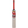 CA Plus 5000 Cricket Bat