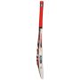 CA Plus 5000 Cricket Bat