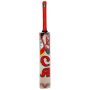 CA Plus 5000 Cricket Bat