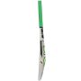 CA 20 20 Cricket Bat