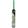 CA 20 20 Cricket Bat