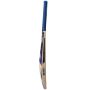 CA PREMIER POWER Cricket Bat