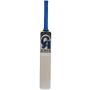CA STROKE MASTER Cricket Bat