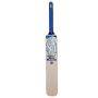 CA Big Bang Cricket Bat