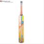 Cosco Dynamite Kashmir Willow Cricket Bat
