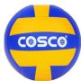 COSCO Volleyball SUPER